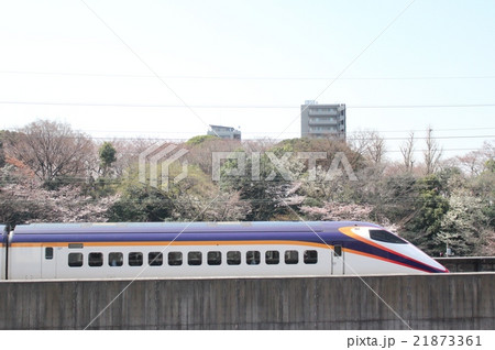 桜満開の王子飛鳥山公園付近を通過する山形新幹線e3系の写真素材