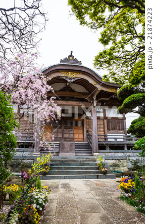 法華経寺 本光寺 千葉県市川市中山 2016年4月撮影 法華経寺 本光寺 千葉県市川市中山 2016年4月撮影 21874223