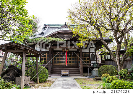 法華経寺 智泉院 千葉県市川市中山 2016年4月撮影 法華経寺 智泉院 千葉県市川市中山 2016年4月撮影 21874228