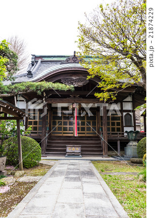 法華経寺 智泉院 千葉県市川市中山 2016年4月撮影 21874229