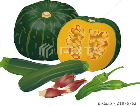 夏の野菜集合 夏の野菜集合 21876762
