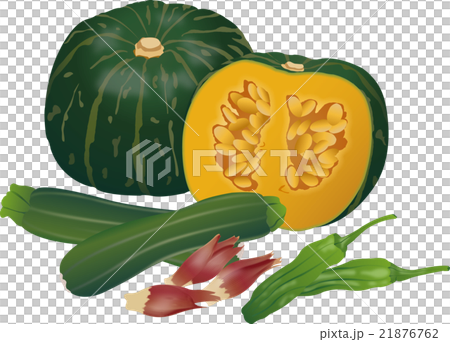夏の野菜集合 夏の野菜集合 21876762