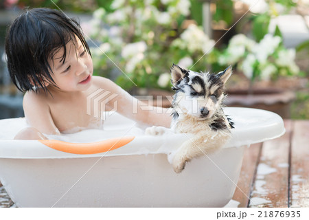Cute asian  child bathing with siberian husky 21876935