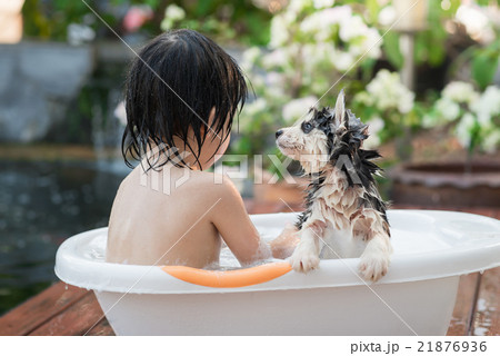 Cute asian child bathing with siberian husky Cute asian child bathing with siberian husky 21876936