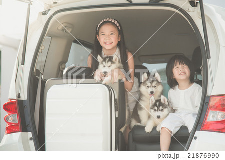 Happy asian children and siberian husky puppies  21876990