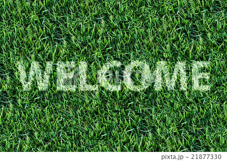 Welcome word on fresh green grass background. 21877330