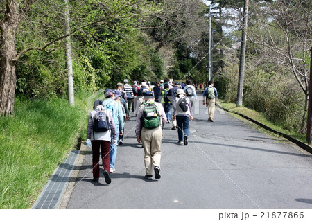 ウォーキング 21877866