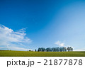 マイルドセブンの丘 21877878