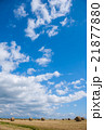 牧草ロールと高い空 21877880