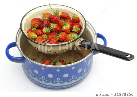 strawberries on the white background strawberries on the white background 21878856