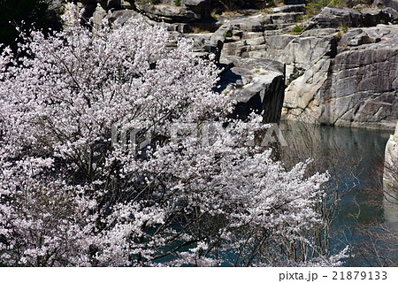 寝覚の床・春・桜 21879133