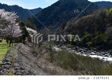 寝覚の床・春・桜 21879141