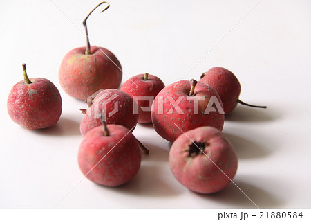 サンザシの実 サンザシの実 21880584