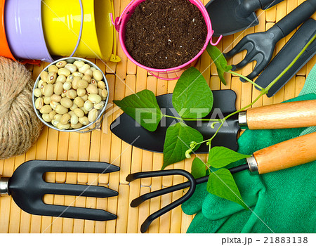 garden tools, seeds, sprouts garden tools, seeds, sprouts 21883138