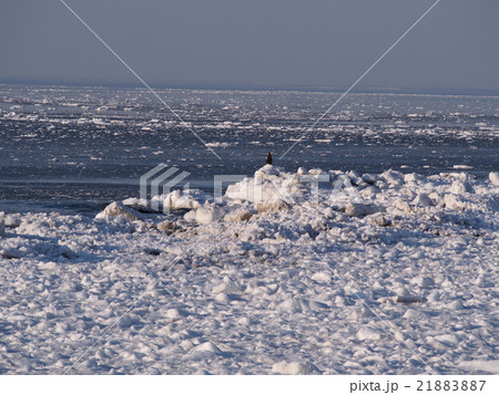 知床の流氷 21883887