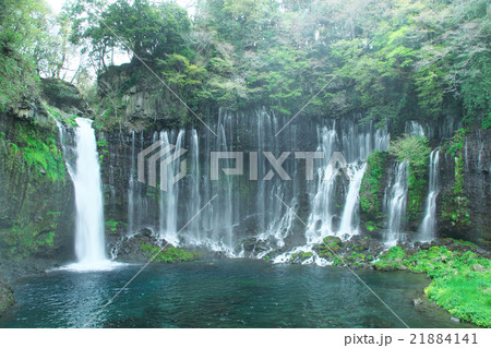 白糸の滝（静岡県） 21884141