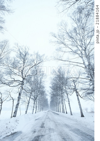 北海道の冬道 北海道の冬道 21884164