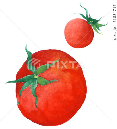 トマト 21884717