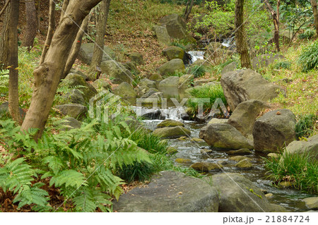 北の丸公園 21884724