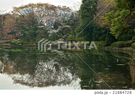 北の丸公園 北の丸公園 21884728
