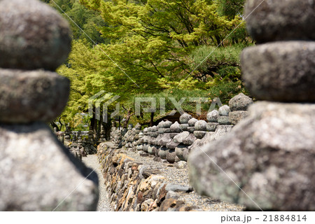 化野念仏寺6 京都嵐山2016春 化野念仏寺6 京都嵐山2016春 21884814