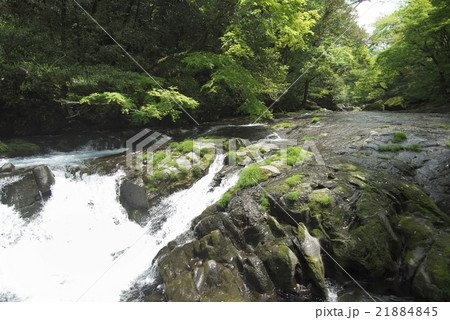 菊池渓谷（熊本県） 21884845