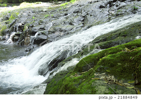 菊池渓谷（熊本県） 21884849