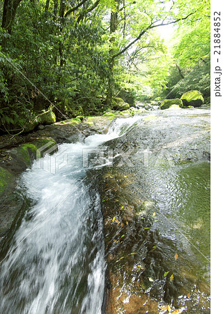菊池渓谷（熊本県） 21884852
