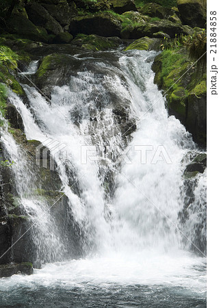 菊池渓谷(熊本県) 菊池渓谷(熊本県) 21884858