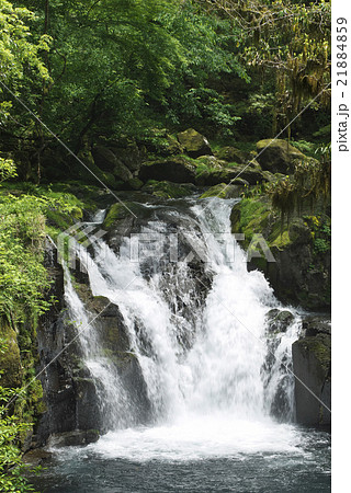 菊池渓谷(熊本県) 菊池渓谷(熊本県) 21884859