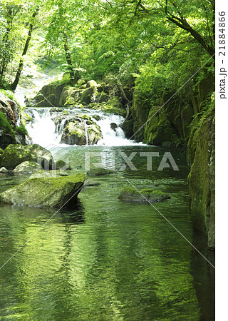 菊池渓谷(熊本県) 菊池渓谷(熊本県) 21884866