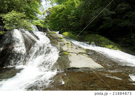 菊池渓谷（熊本県） 21884873