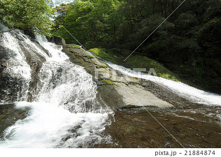 菊池渓谷(熊本県) 菊池渓谷(熊本県) 21884874