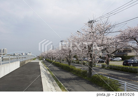 浦安市 4月 浦安市 4月 21885026