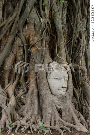 Buddha Head Buddha Head 21885237