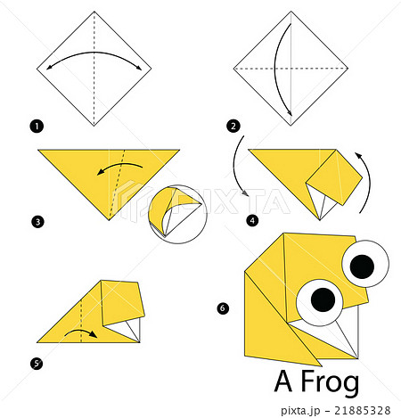 origami A Frog. 21885328
