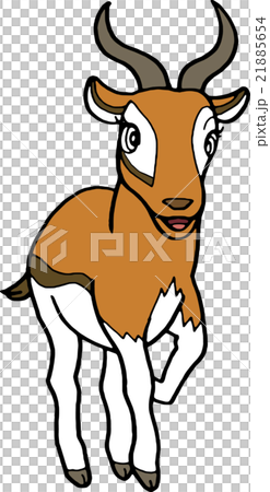 Wild animals Thomson gazelle No background 21885654