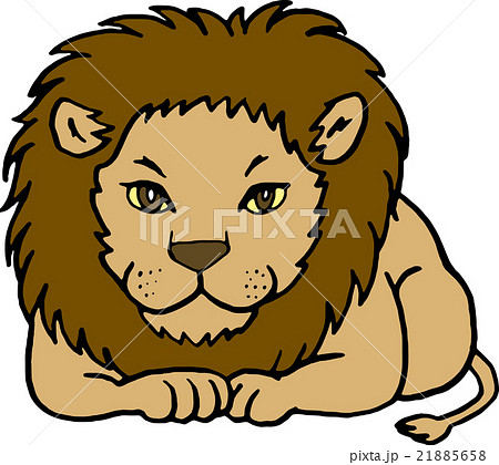 Wildlife Lion Background None Stock Illustration