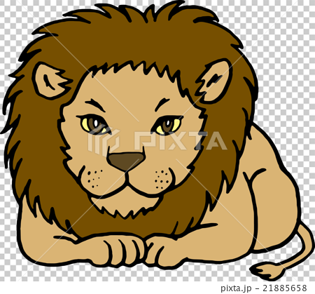 野生動物 ライオン 背景なしのイラスト素材