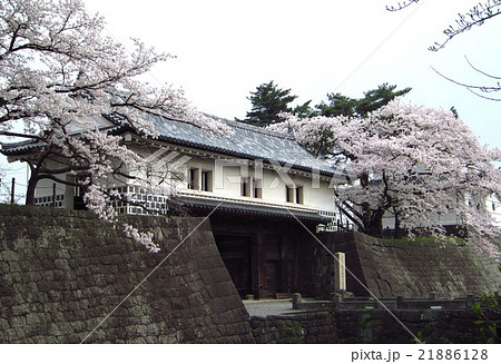 新発田城の春 新発田城の春 21886128