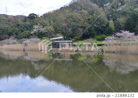 伊豆の国市、城池親水公園 21886132