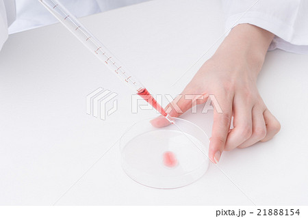 実験器具を扱う女性 実験器具を扱う女性 21888154