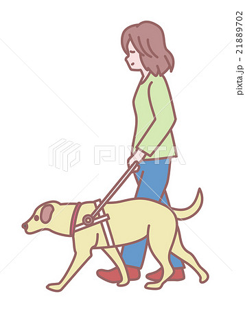 盲導犬を連れて歩く女性のイラスト素材