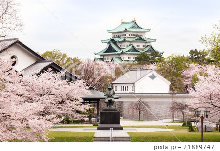 加藤清正像と名古屋城と桜の写真素材