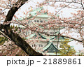 桜と名古屋城 21889861