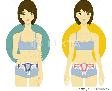 女性と子宮 21890075