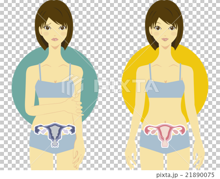女性と子宮 21890075