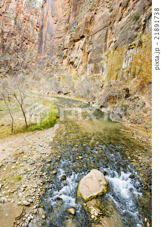 Zion National Park, Utah, USA Zion National Park, Utah, USA 21891738