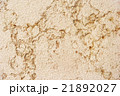 Sandstone texture background 21892027