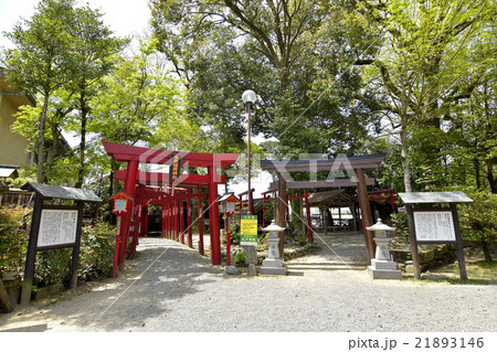 青井阿蘇神社 21893146
